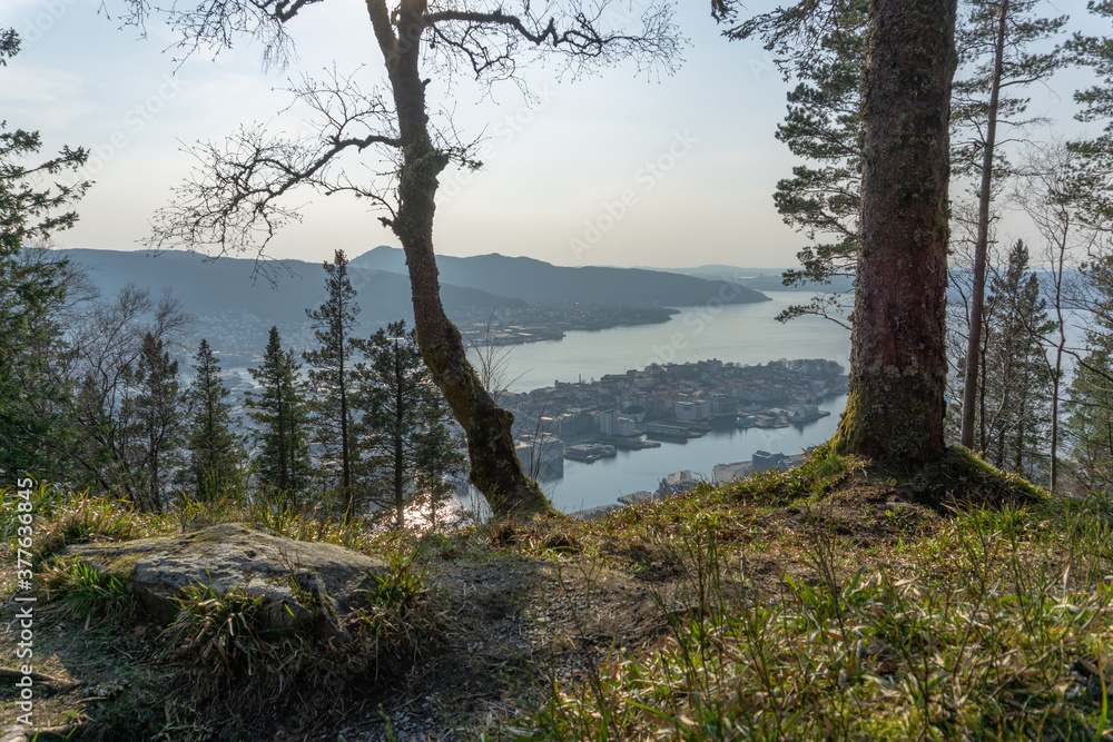 Obraz premium Bergen city landscape behind the trees (3)