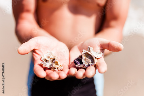 person holding seashells
