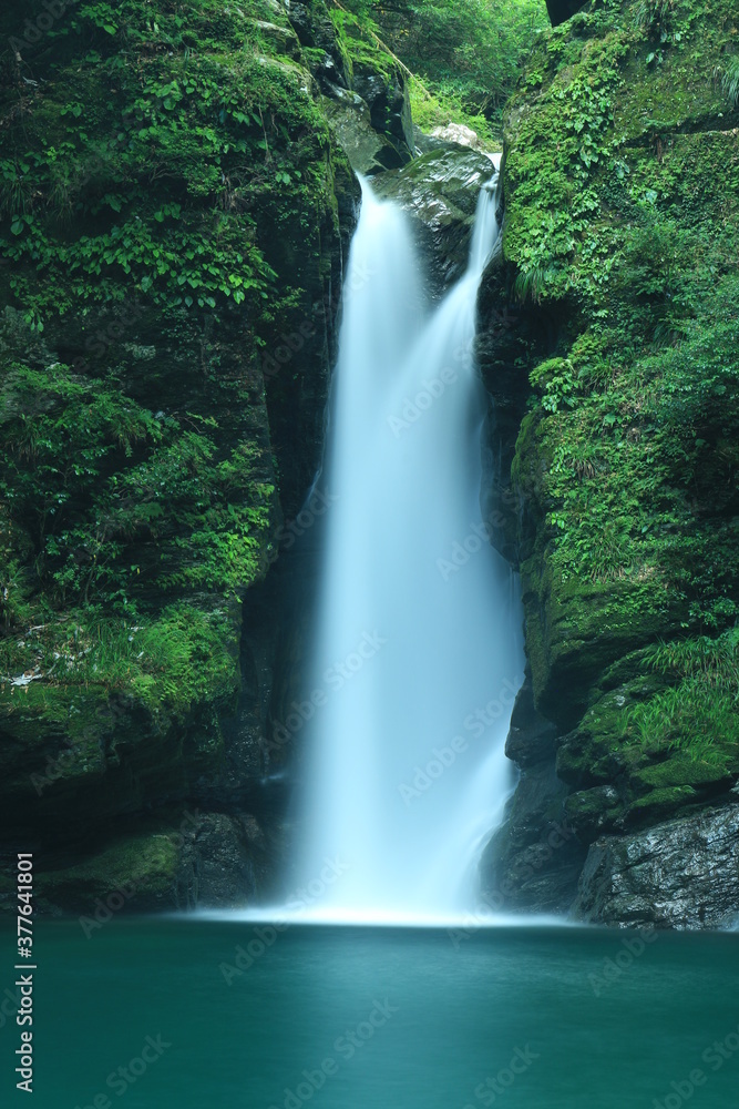 Fototapeta premium にこ淵の滝