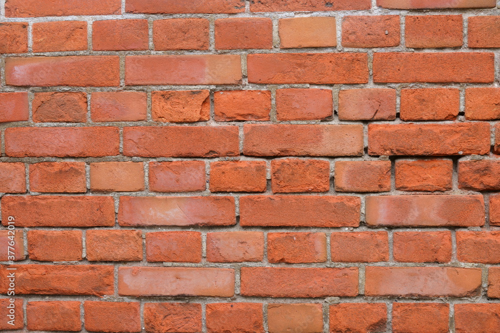 Obraz premium 壁紙