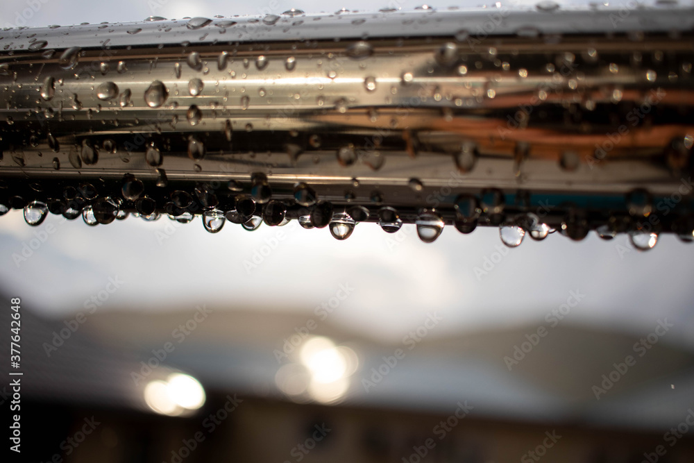 Water drops after heavy rain Water drops after heavy rain