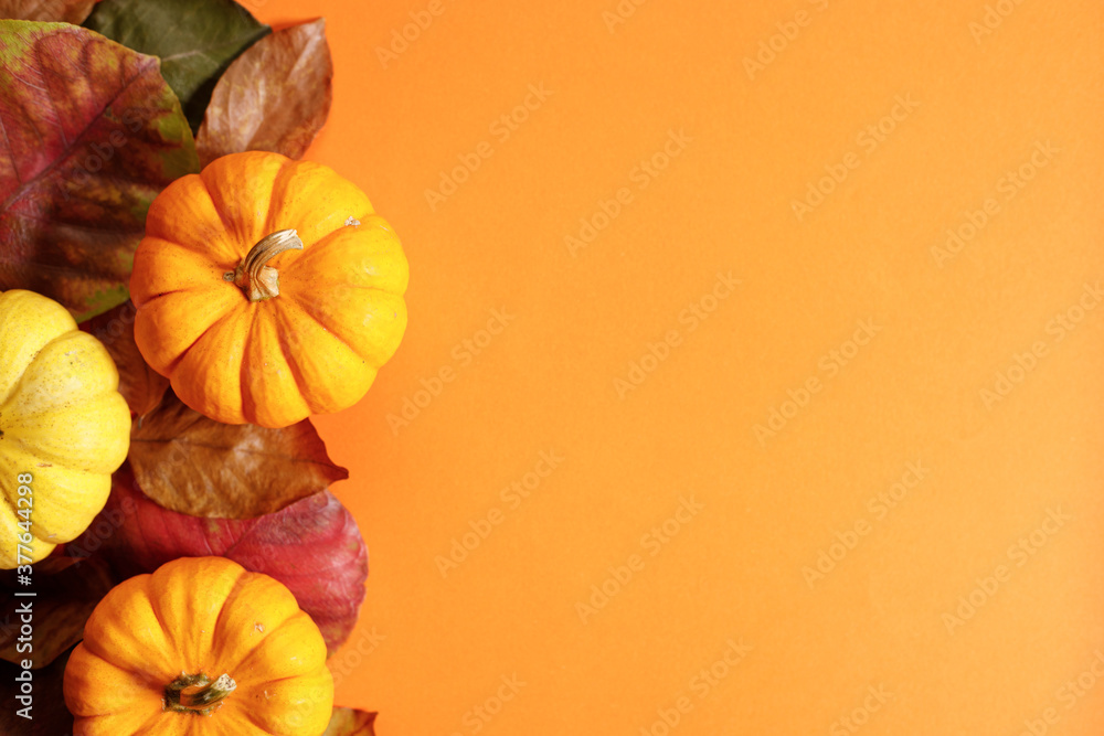Autumn background with pumpkin and dried leaves Autumn background with pumpkin and dried leaves