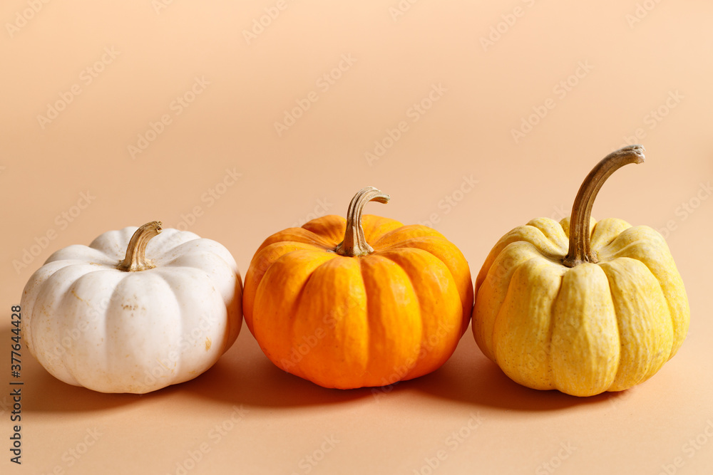 Fancy pumpkins on color background Fancy pumpkins on color background