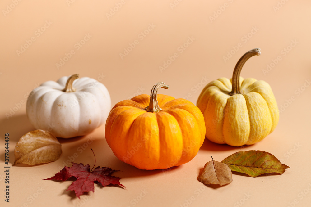 Fancy pumpkins on color background Fancy pumpkins on color background