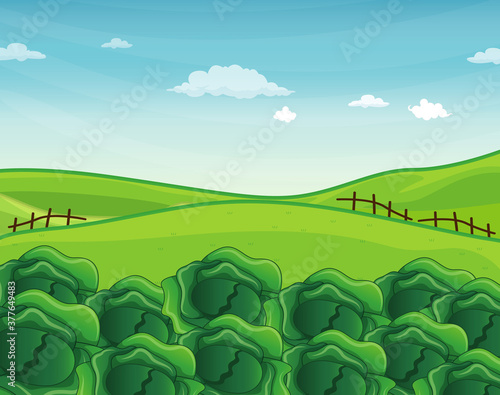 Green nature landscape with cabbage scene background