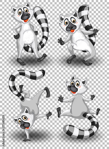 Set of cute raccoon on transparent background