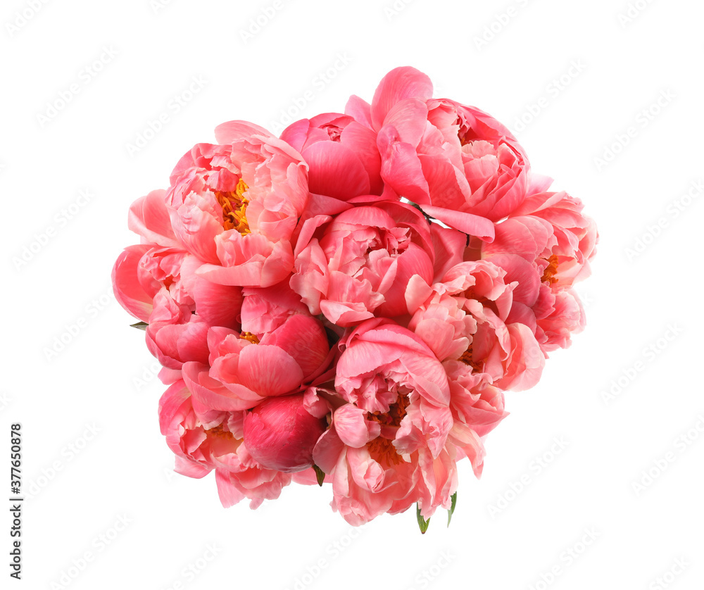Beautiful pink peony bouquet isolated on white Beautiful pink peony bouquet isolated on white