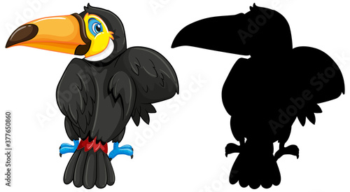 Toucan with its silhouette