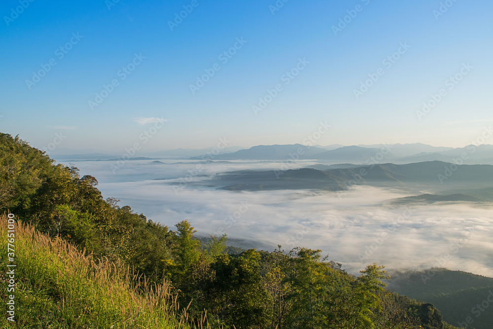 Landscape winter hill scene with fog.