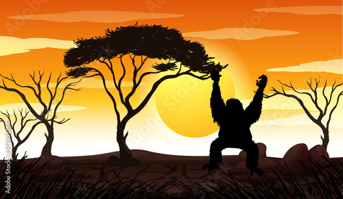 Outdoor nature silhouette sunset scene