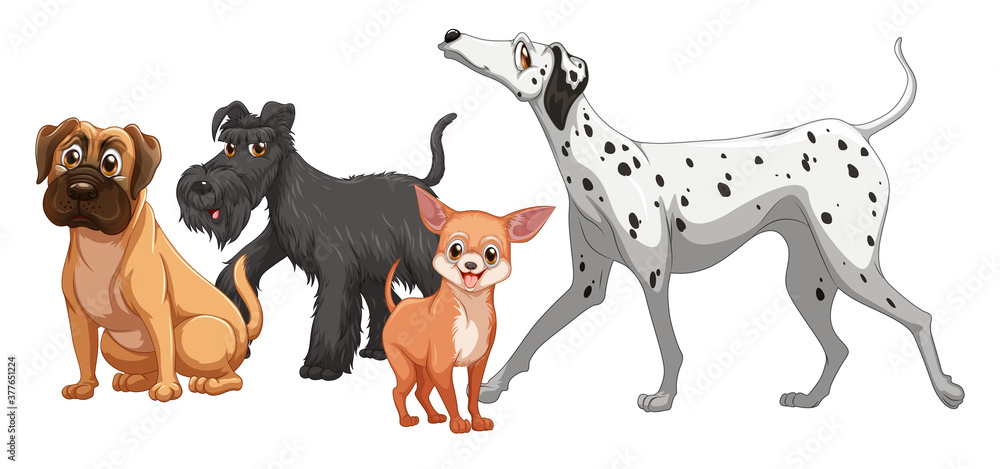 Obraz premium Cute animal dog group isolated on white background