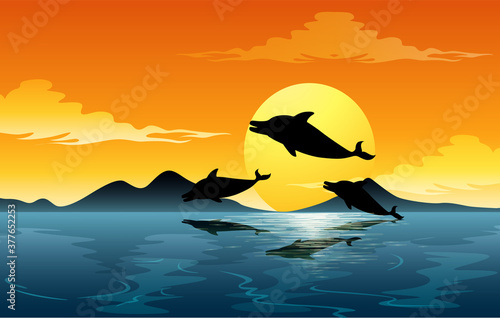 Outdoor nature silhouette sunset scene