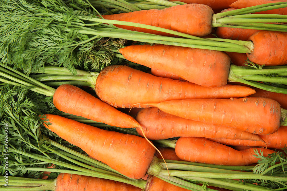 Fresh ripe carrots as background, top view Fresh ripe carrots as background, top view
