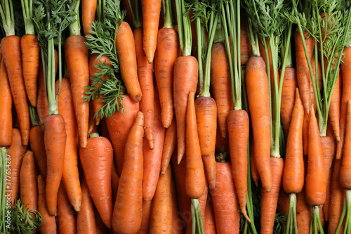 Tasty raw carrots as background, top view