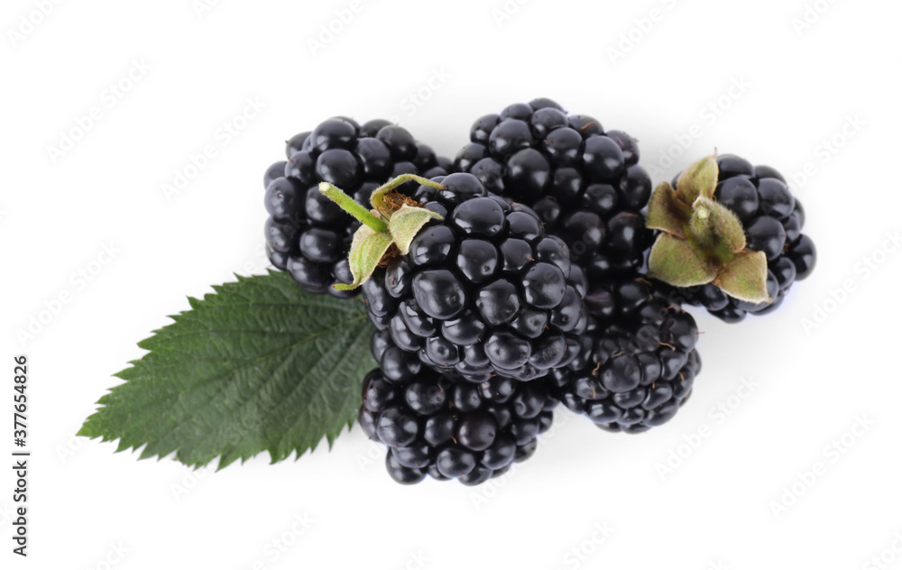 Delicious fresh ripe blackberries with leaf isolated on white, top view Delicious fresh ripe blackberries with leaf isolated on white, top view