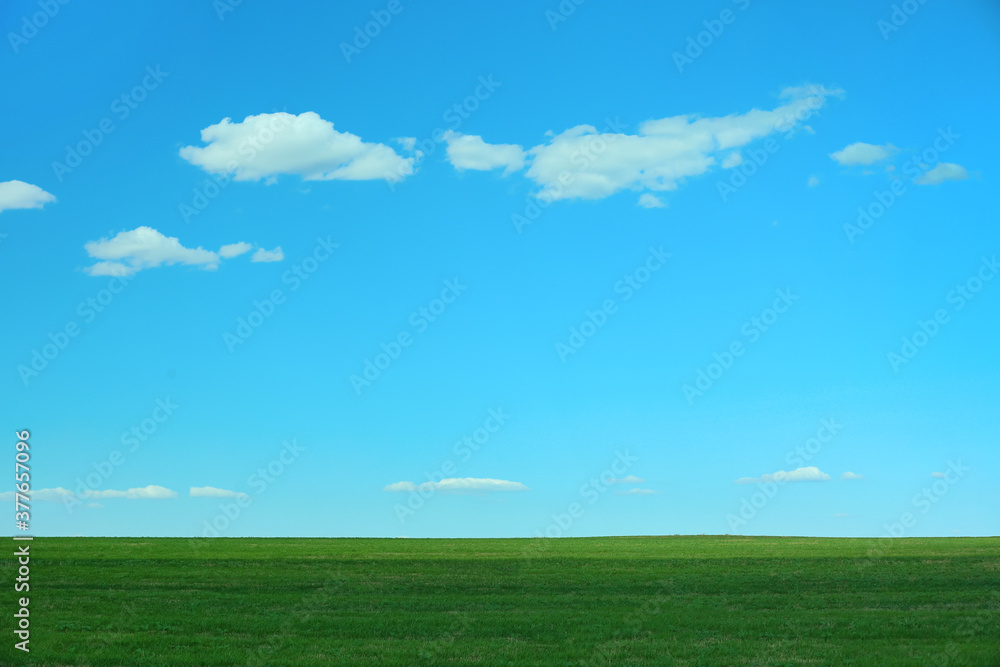 Beautiful landscape with green grass on sunny day