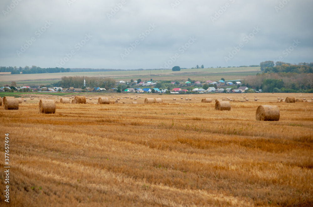 haystack before the rain