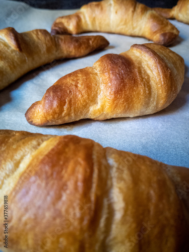 Homemade croissants on baking paper at the morning light. © Provideo