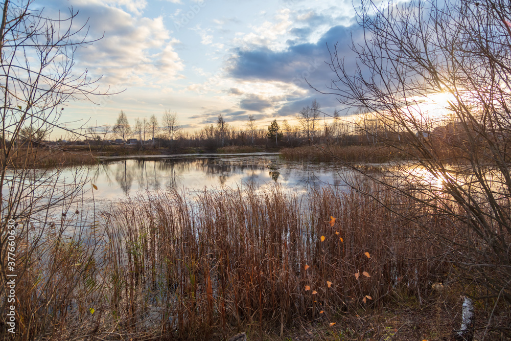 Fototapeta premium Trees near the lake at sunset.