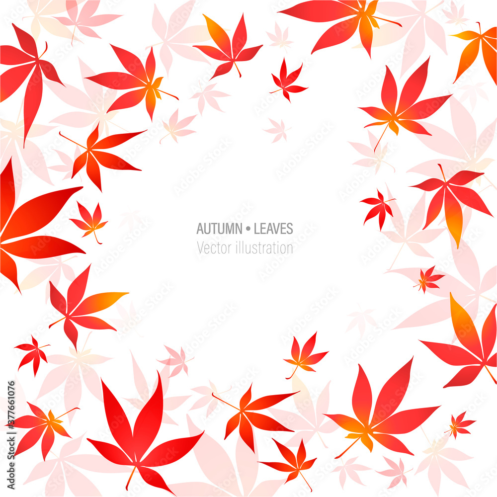 Red maple tree leaves vector illustration. Border of autumn japanese maple tree leaves on white background. Eps 10 vector illustration. Red maple tree leaves vector illustration. Border of autumn japanese maple tree leaves on white background. Eps 10 vector illustration.