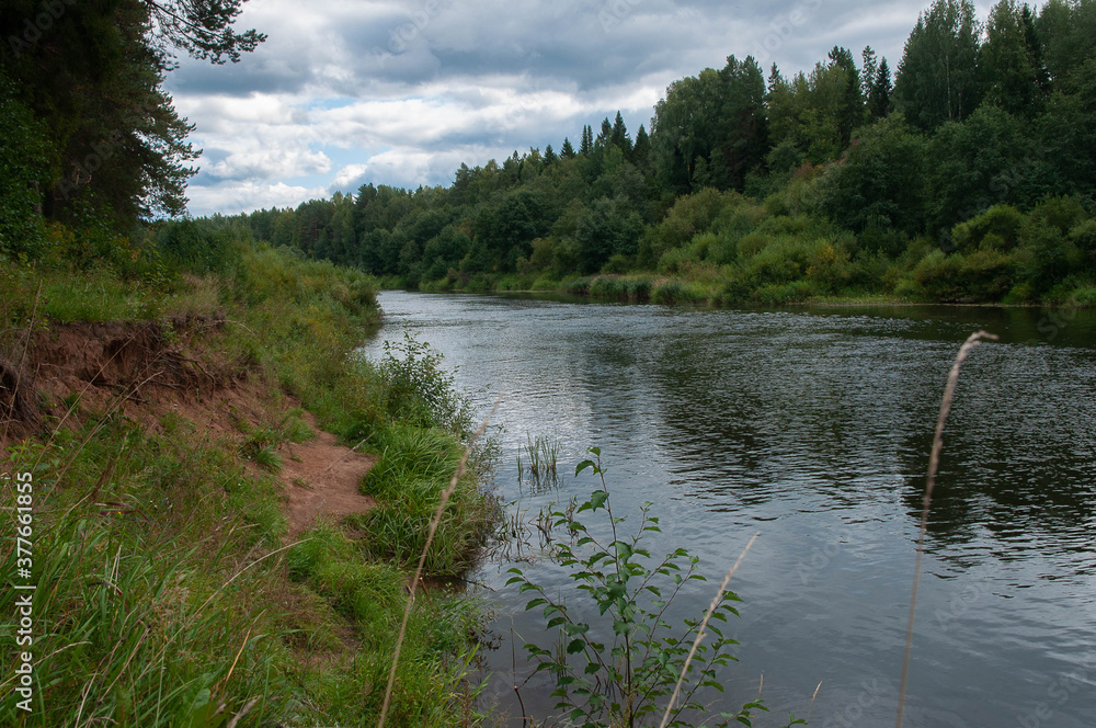 landscape view of the river with green forest trees on both sides, on a cloudy summer day.