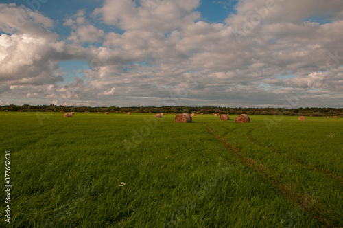 Haystack harvest spring field landscape. © svetlana kuznetsova