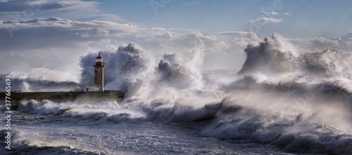 Fotografie, Obraz Porto lighthouse during an atlantic storm
