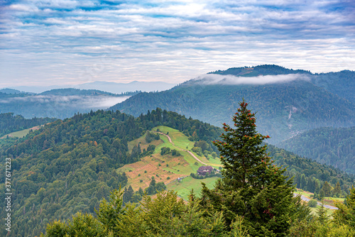 Mountain landscape. Morning panorama of mountains and forest.