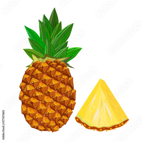 Pineapple isolated on white background. Pineapple with sliced flesh. Tropical exotic fruit icon. Sweet ananas with leaf side view. Healthy food concept. Citrus fruit chunk. Stock vector illustration