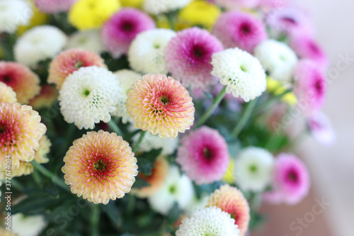 background of colorful field flowers