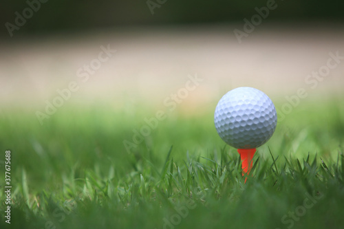 Golf ball on tee ready to be shot , for holiday season concept of golf course background