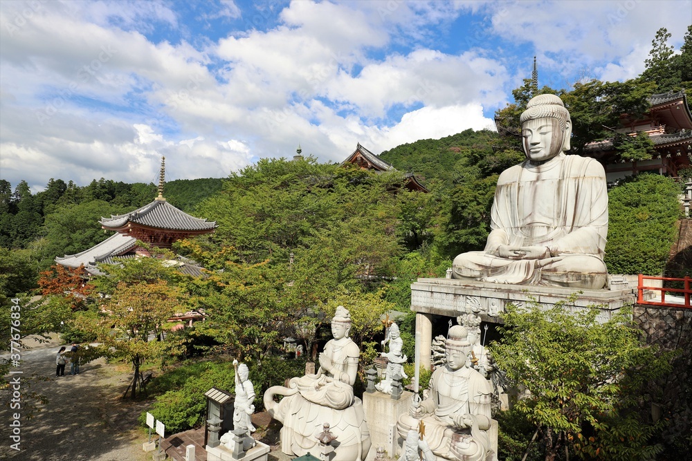 Obraz premium 奈良県 壷阪寺