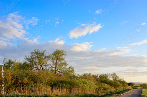 Blue sky with floating white clouds. The background.