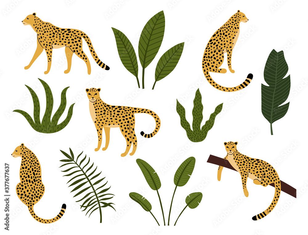 Obraz premium Collection of silhouette leopards, exotic leaves, tropical plants and palm tree isolated on light background. Bundle of wild African feline animals. Hand drawn vector illustration.