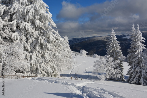 Winter im Schwarzwald © KamikazeKatze