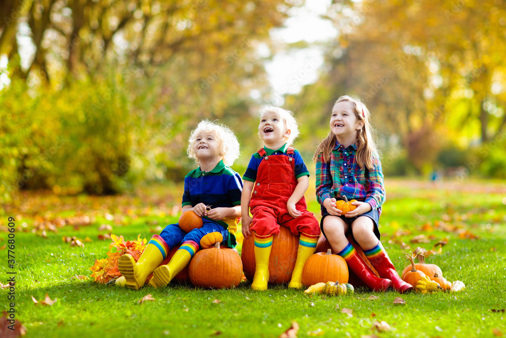 Fototapeta premium Kids having fun at pumpkin patch