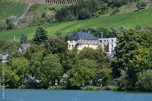 Blick auf das Moselufer von Bullay photo