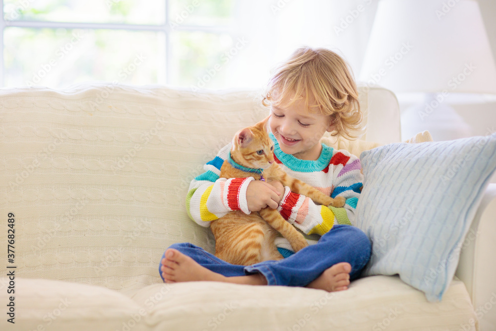 Child playing with cat. Kid and kitten. Child playing with cat. Kid and kitten.