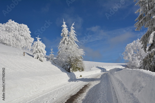 Winter im Schwarzwald