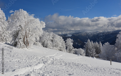 Wallpaper Mural Winter im Schwarzwald Torontodigital.ca