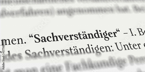 Sachverständiger im Buch