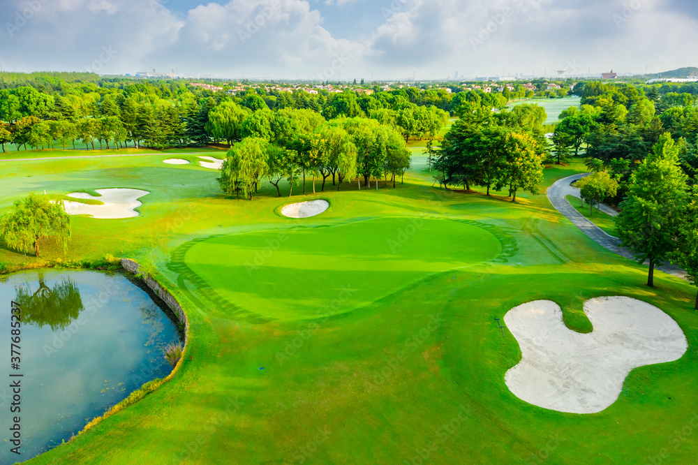 Aerial view of green grass and tree on golf course.