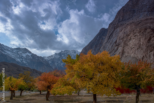 autumn landscape of gojal , hunza, nagar , northern areas of Pakistan  photo