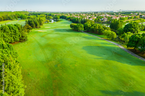 Aerial view of green grass and tree on a golf field.