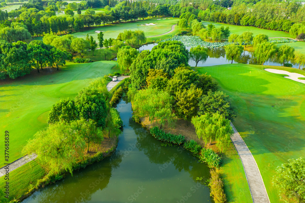 Aerial view of green grass and tree. Aerial view of green grass and tree.
