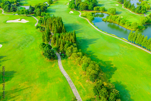 Aerial view of green grass and tree.