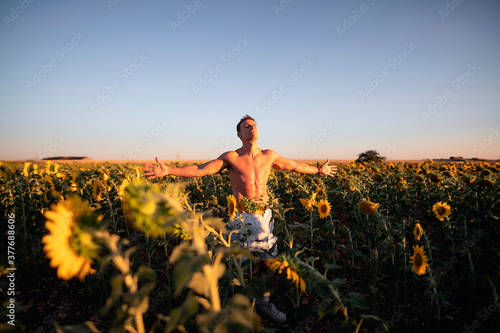 Fototapeta premium person in field