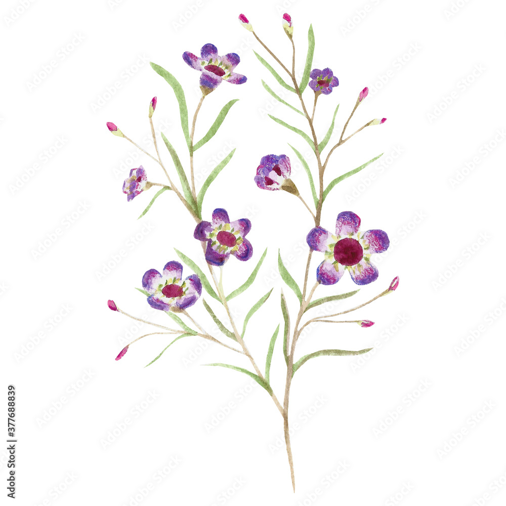 branch with watercolor flowers and leaves. Stylized ornamental plant