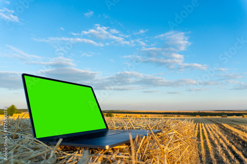 Laptop in the autumn field with green chromakey screen
