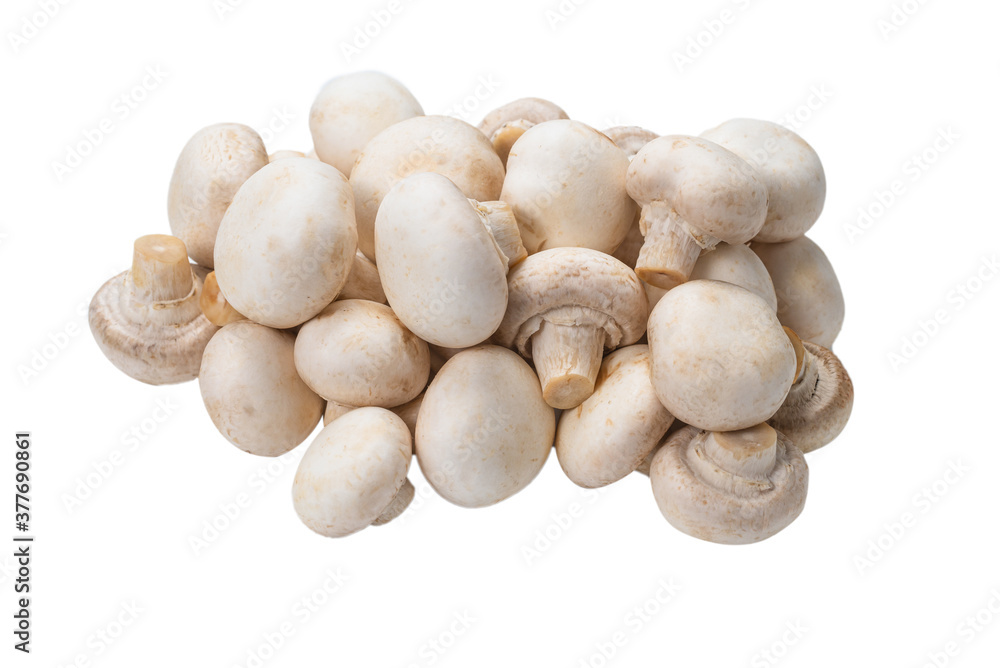 Champignon mushroom isolated on white background.